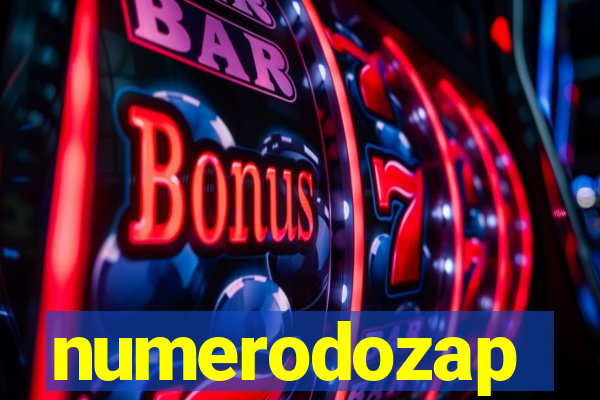 numerodozap