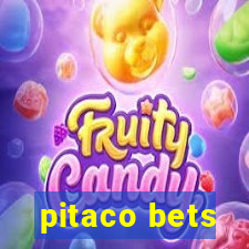 pitaco bets