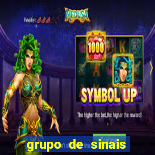 grupo de sinais fortune rabbit