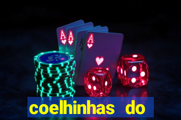 coelhinhas do brasil site