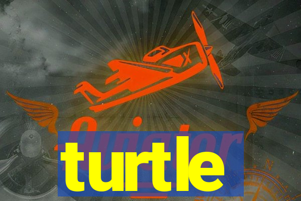 turtle-ty.com